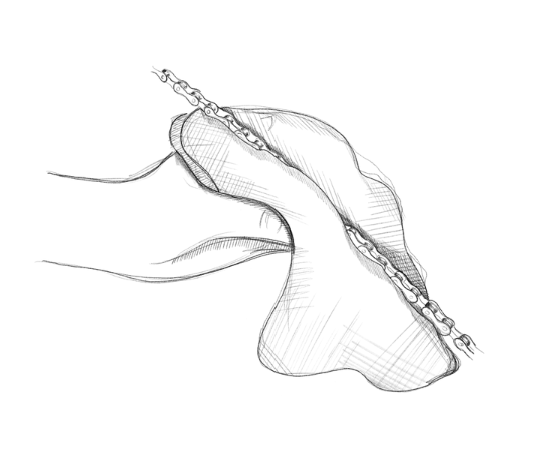 Zeichnung einer Hand, die zeigt wie mit einem Tuch eine Fahrradkette gereinigt wird